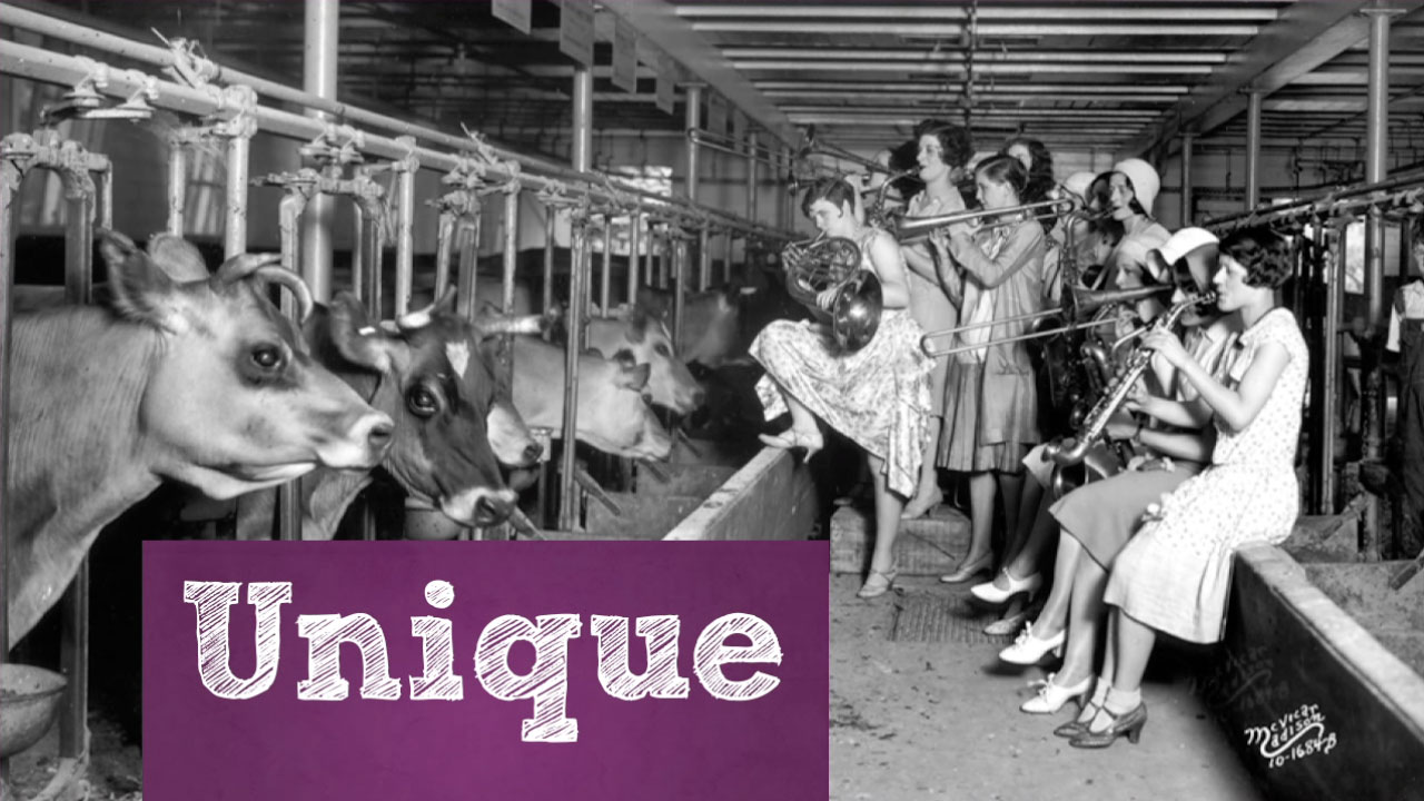 Archival photography / Wisconsin’s distinctive stories.